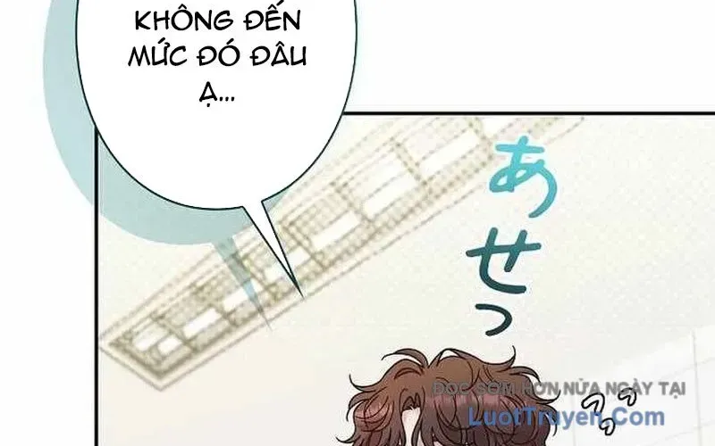 Sự Tái Sinh Của Nhà Thiết Kế Tài Ba Chapter 37 - Trang 2