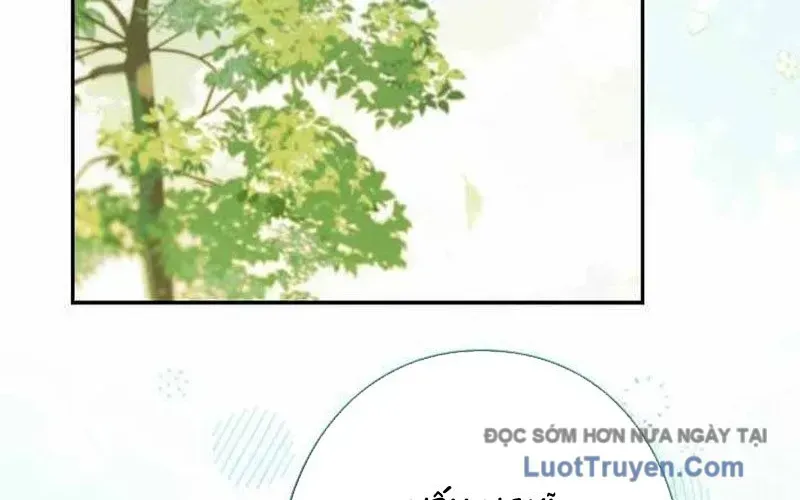 Sự Tái Sinh Của Nhà Thiết Kế Tài Ba Chapter 37 - Trang 2