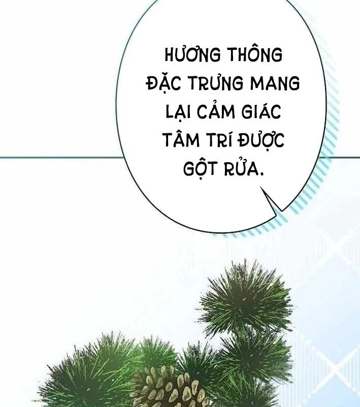 Sự Tái Sinh Của Nhà Thiết Kế Tài Ba Chapter 46 - Trang 2
