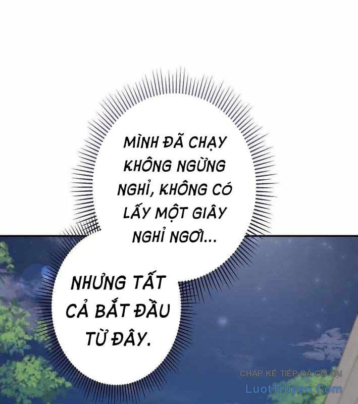 Sự Tái Sinh Của Nhà Thiết Kế Tài Ba Chapter 46 - Trang 2