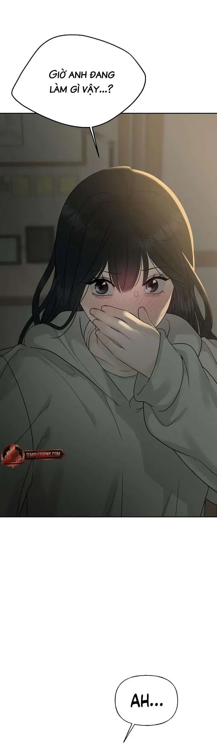 Sự Thâm Nhập Dịu Dàng Chapter 13 - Trang 2