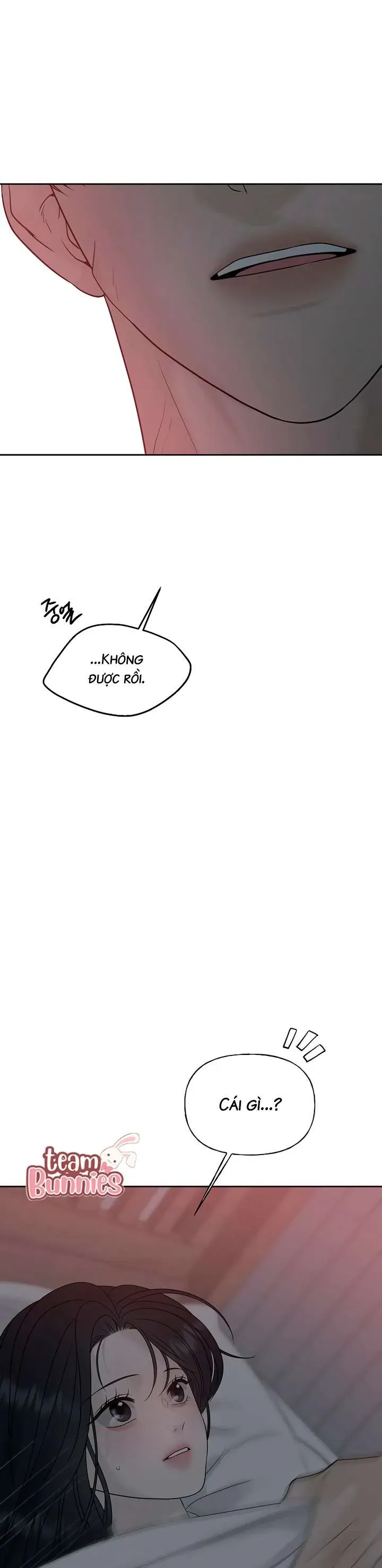 Sự Thâm Nhập Dịu Dàng Chapter 19 - Trang 2