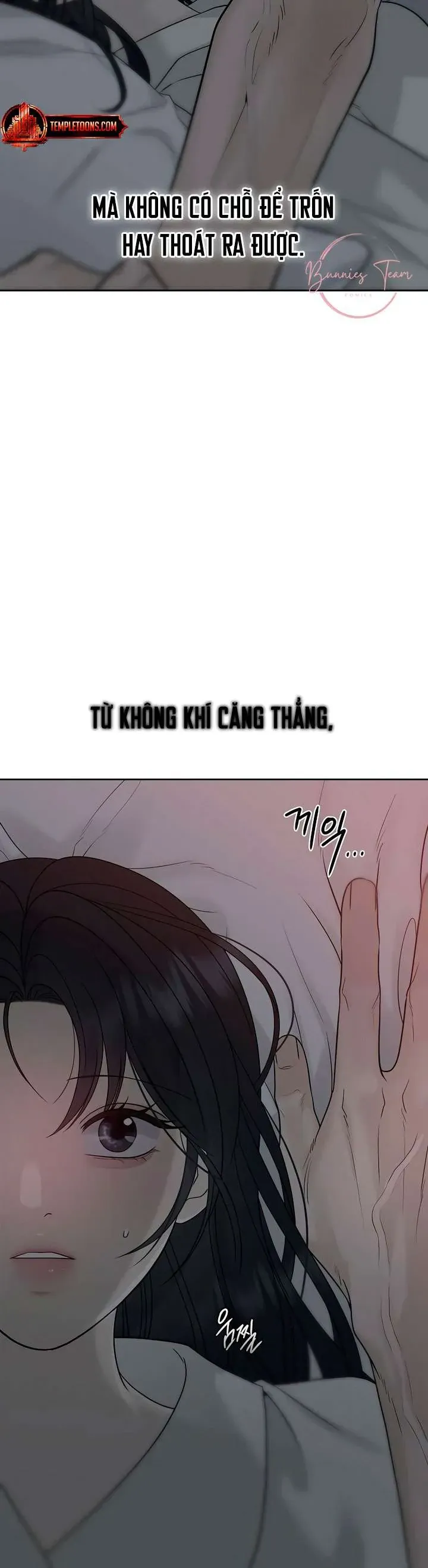 Sự Thâm Nhập Dịu Dàng Chapter 19 - Trang 2