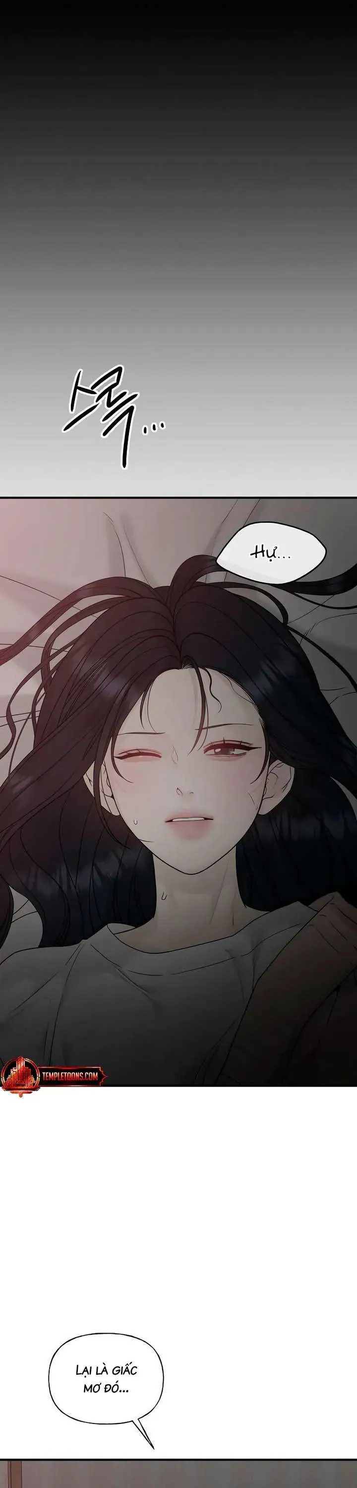 Sự Thâm Nhập Dịu Dàng Chapter 3 - Trang 2