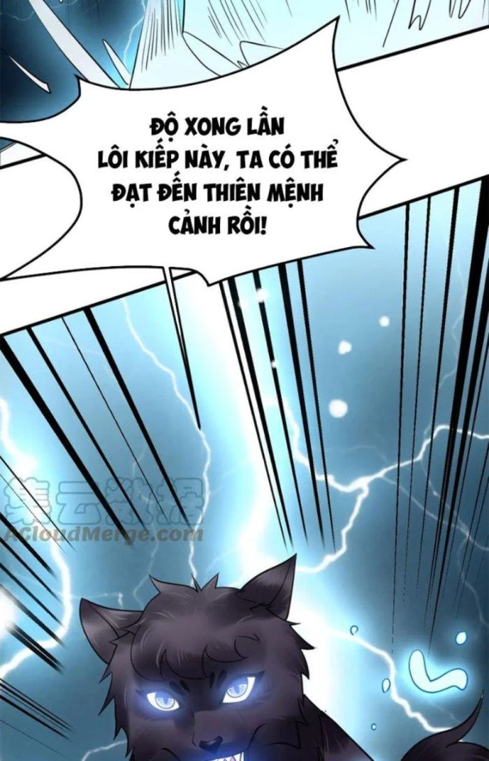 Sư Tổ Của Ta Là Thiên Hạ Đệ Nhất Chapter 40 - Trang 2