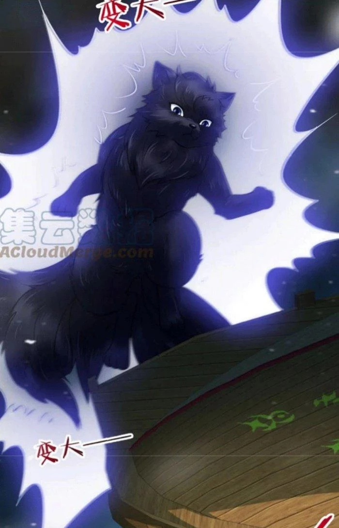 Sư Tổ Của Ta Là Thiên Hạ Đệ Nhất Chapter 48 - Trang 2
