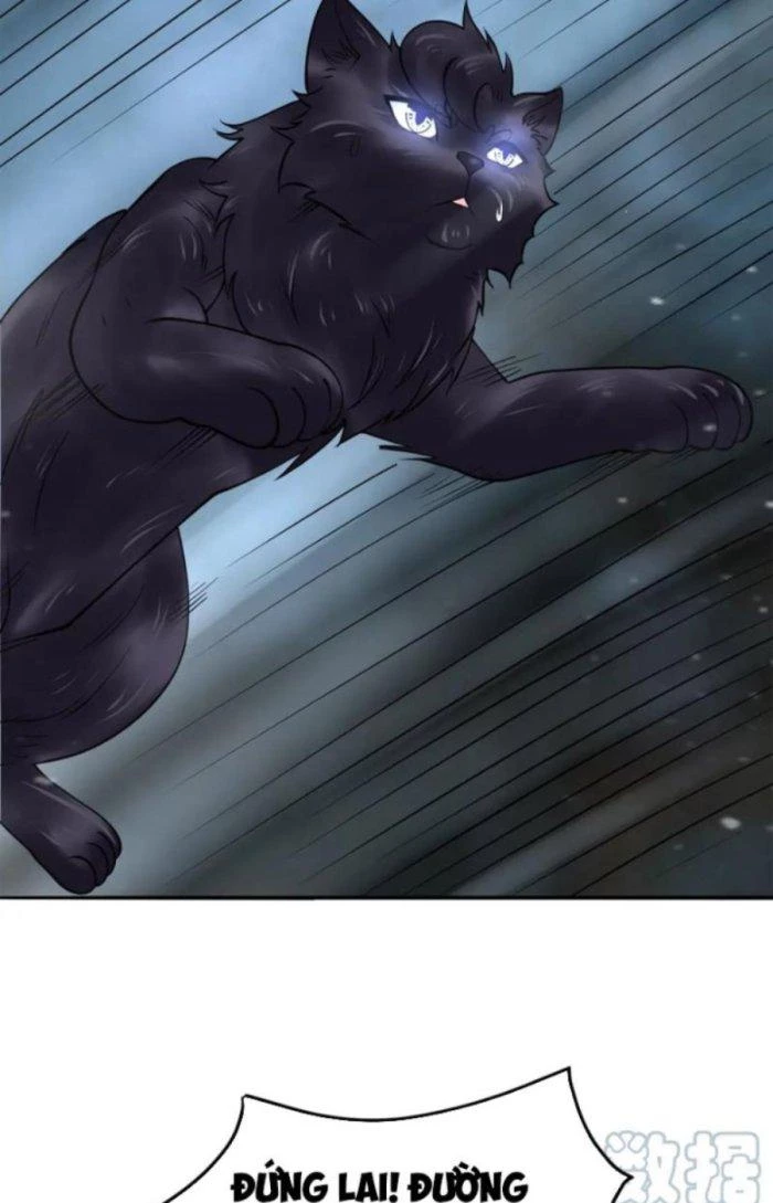 Sư Tổ Của Ta Là Thiên Hạ Đệ Nhất Chapter 49 - Trang 2