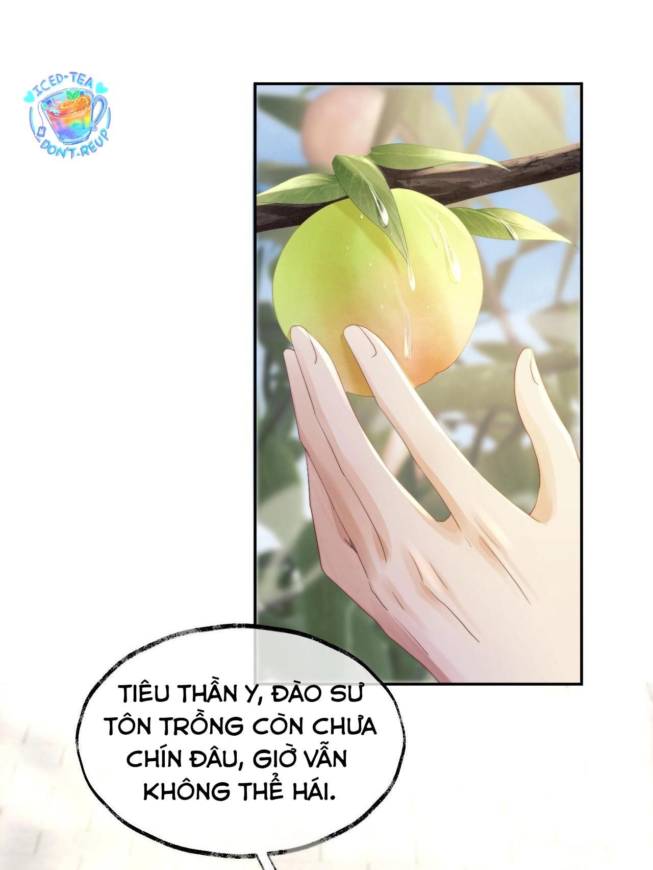 Sư Tôn Mỹ Nhân Bệnh Độc Chiếm Chapter 13 - Trang 2