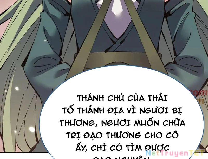 Sư Tôn: Nghịch Đồ Này Mới Không Phải Là Thánh Tử Chapter 104 - Trang 2