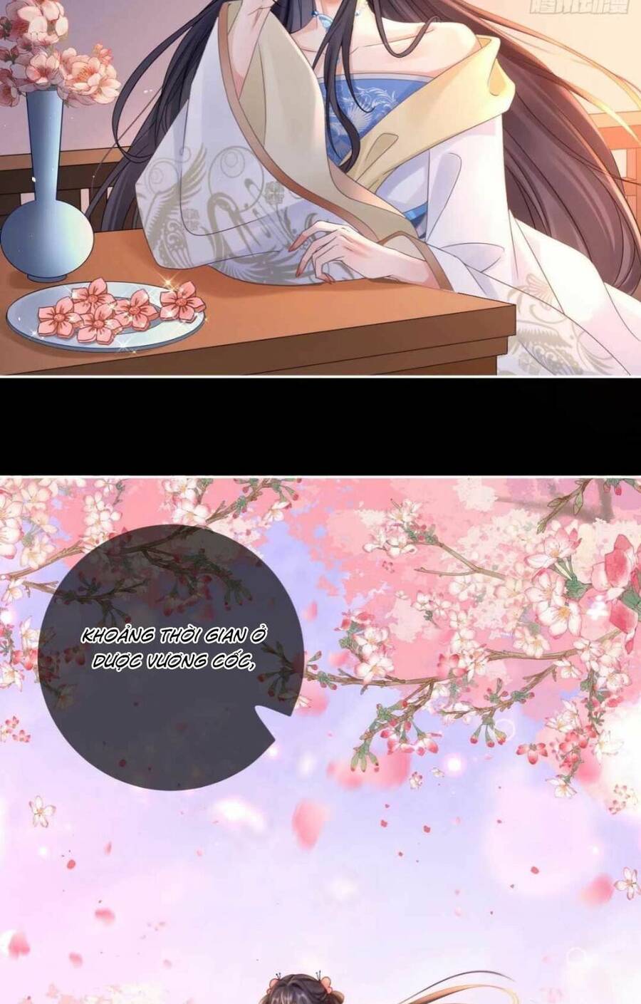 Sự Trả Thù Của Vương Phi Chapter 10 - Trang 2