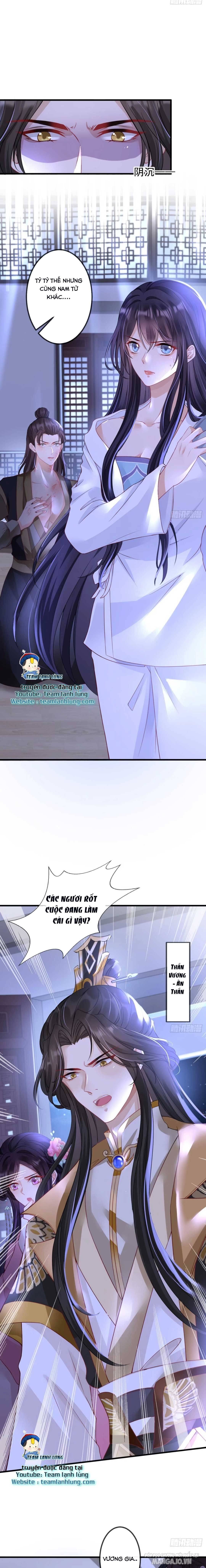 Sự Trả Thù Của Vương Phi Chapter 4 - Trang 2