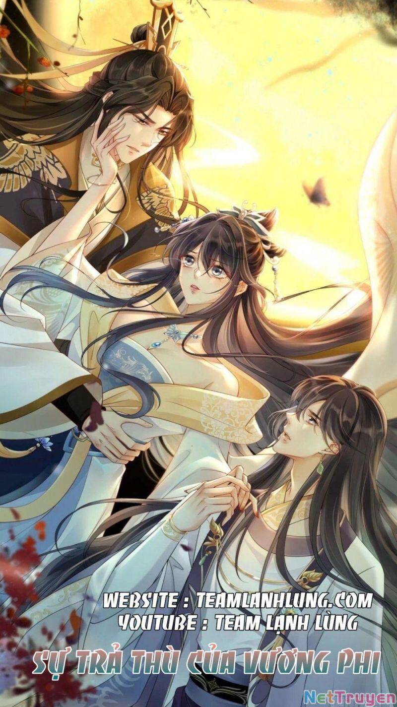 Sự Trả Thù Của Vương Phi Chapter 8 - Trang 2