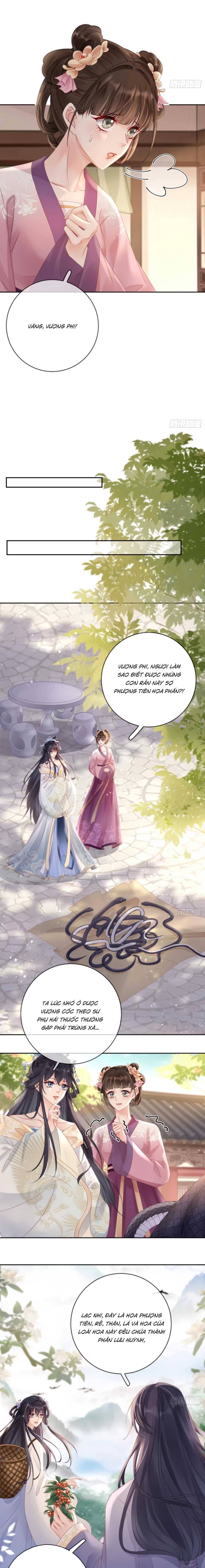 Sự Trả Thù Của Vương Phi Chapter 9 - Trang 2