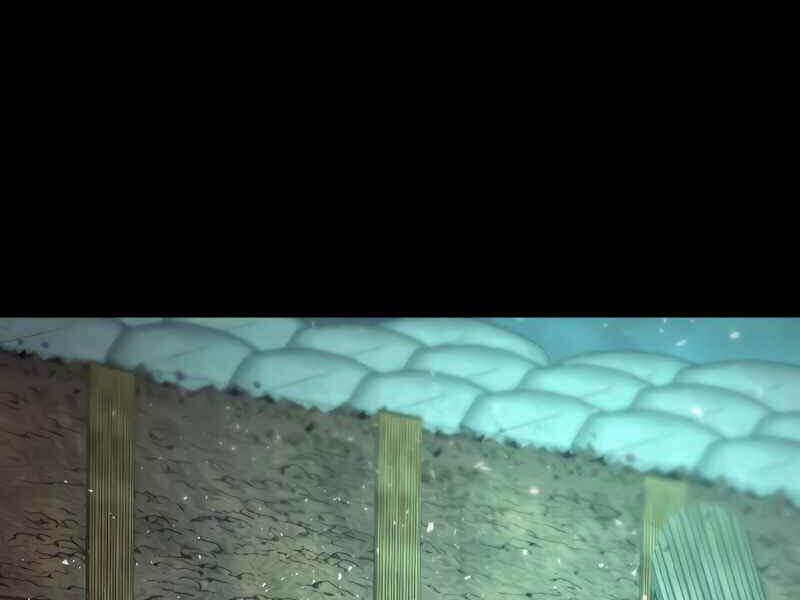 Sự Trở Lại Của Anh Hùng Diệt Thế Chapter 27 - Trang 2