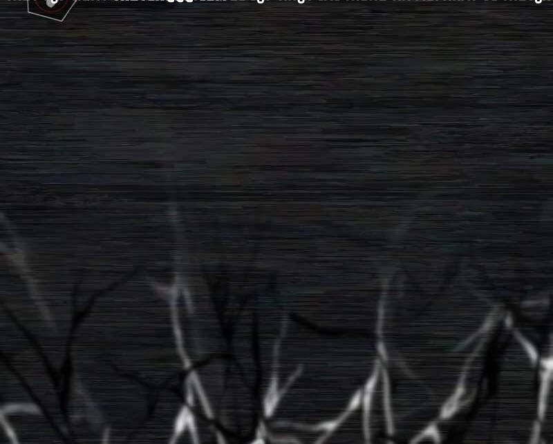 Sự Trở Lại Của Anh Hùng Diệt Thế Chapter 37.5 - Trang 2