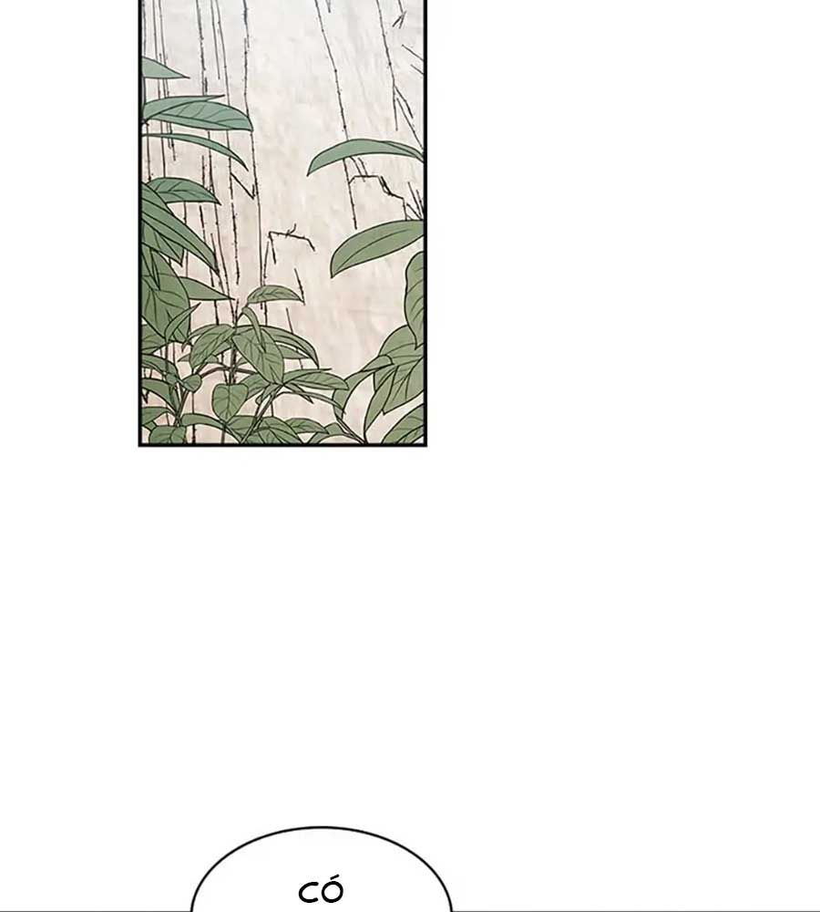 Sự Trở Lại Của Chiến Thần Chapter 12 - Trang 2