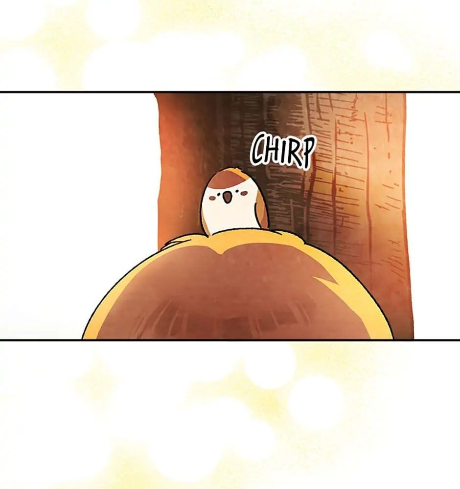 Sự Trở Lại Của Chiến Thần Chapter 14 - Trang 2