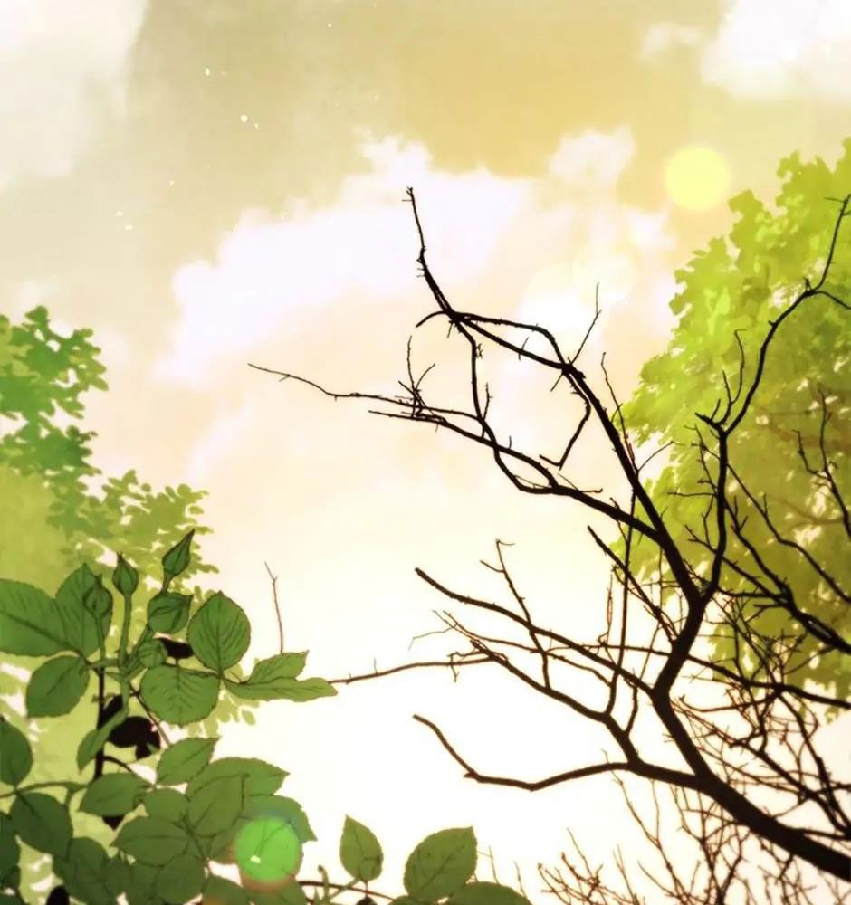 Sự Trở Lại Của Chiến Thần Chapter 32 - Trang 2