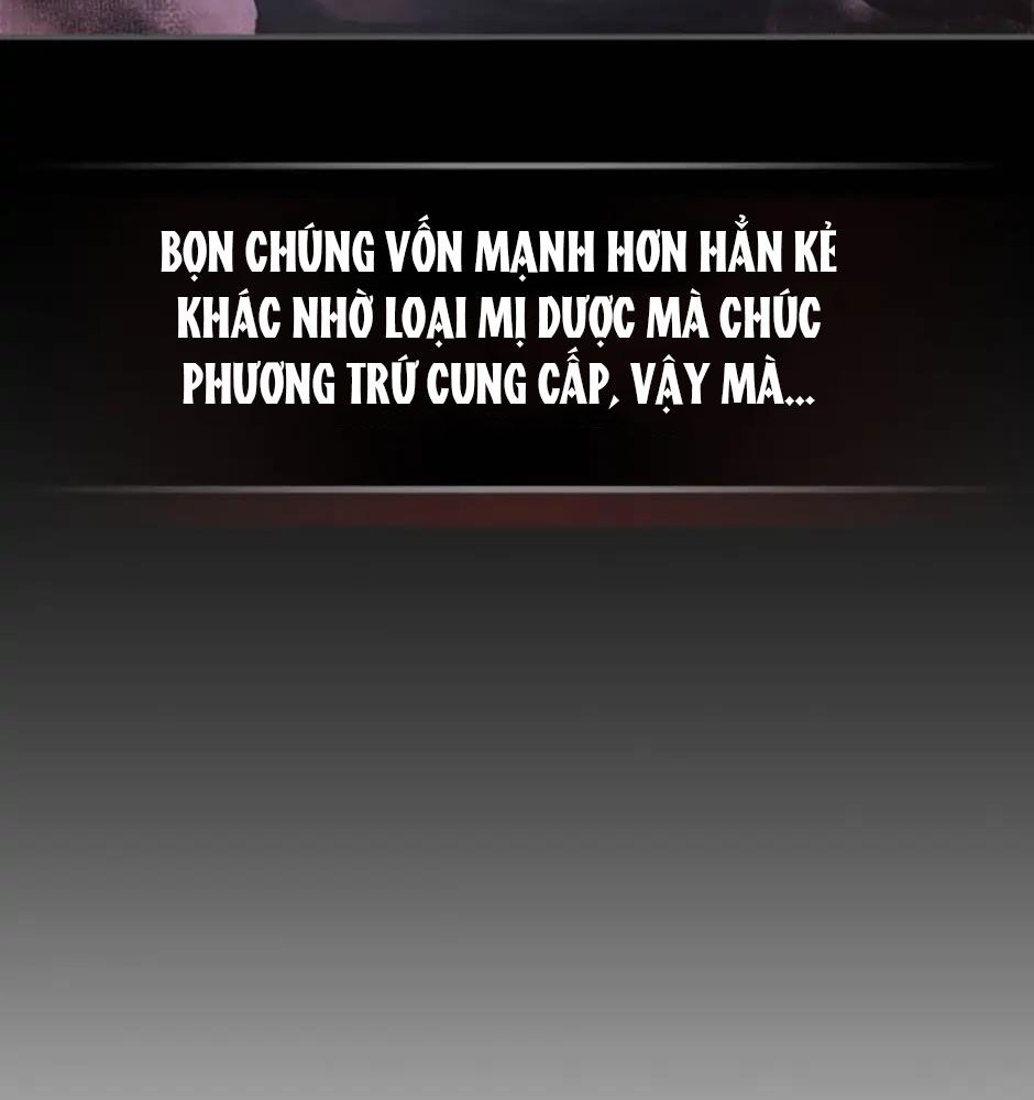 Sự Trở Lại Của Chiến Thần Chapter 35 - Trang 2