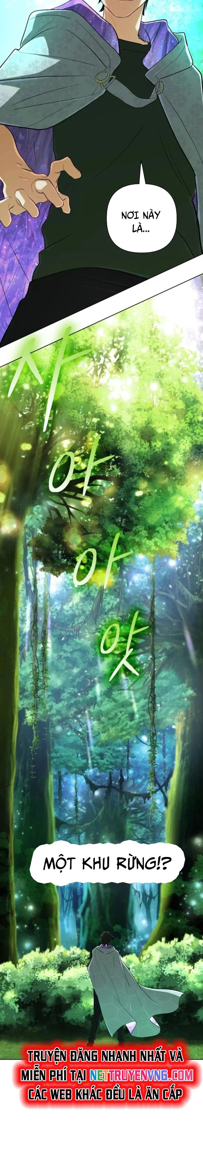 Sự Trở Lại Của Đại Pháp Sư Huyền Thoại Chapter 39 - Trang 2