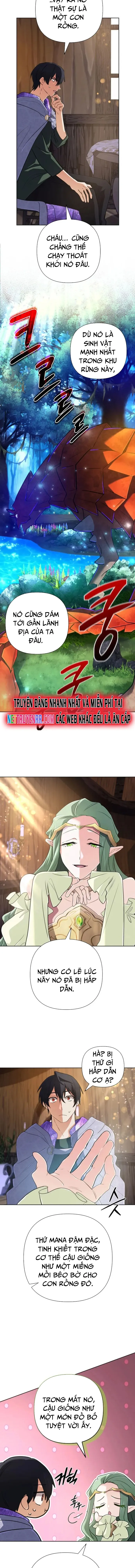 Sự Trở Lại Của Đại Pháp Sư Huyền Thoại Chapter 40 - Trang 2