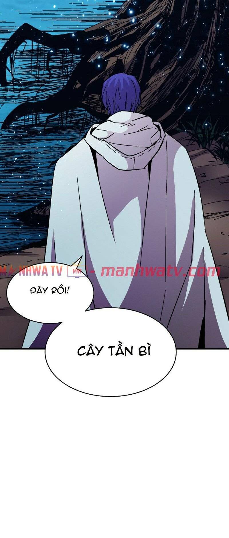 Sự Trở Lại Của Pháp Sư 8 Vòng Chapter 46 - Trang 2
