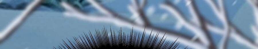 Sức Mạnh Của Kiếm Thần Chapter 16 - Trang 2