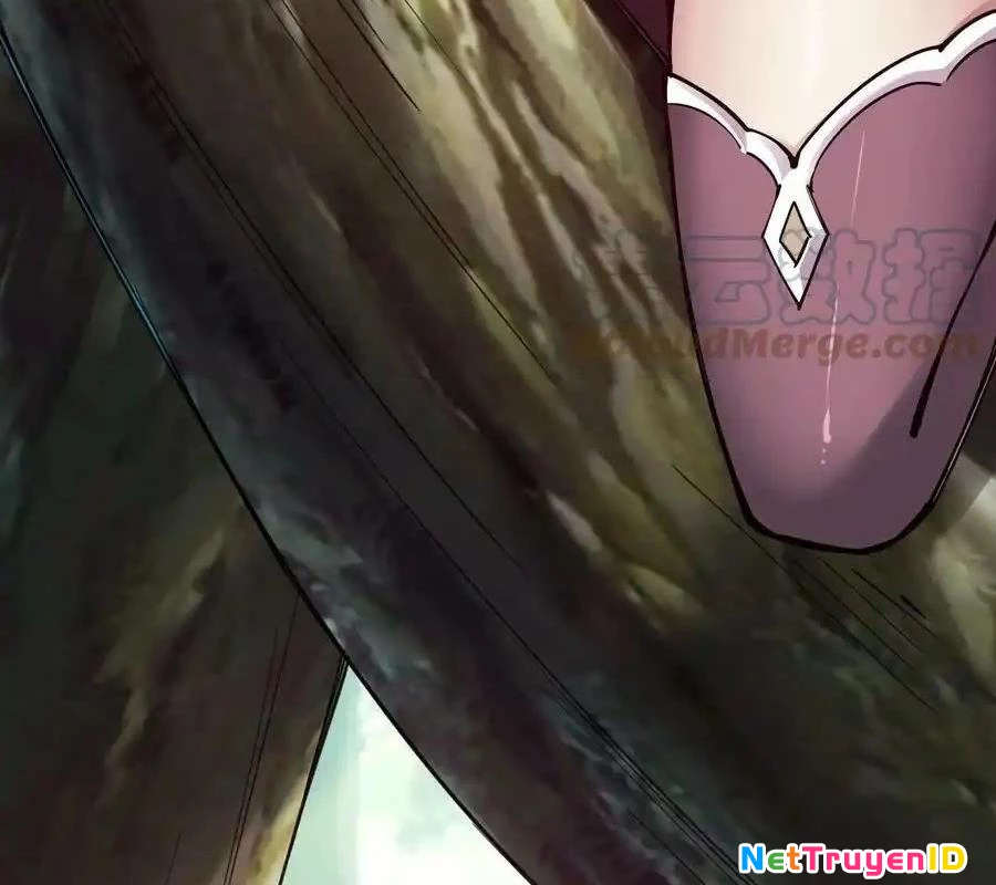 Sức Mạnh Của Kiếm Thần Chapter 55 - Trang 2