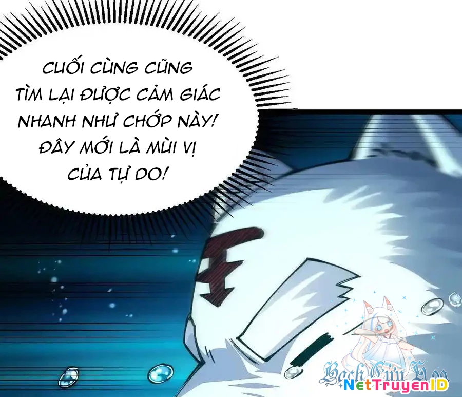 Sức Mạnh Của Kiếm Thần Chapter 68 - Trang 2