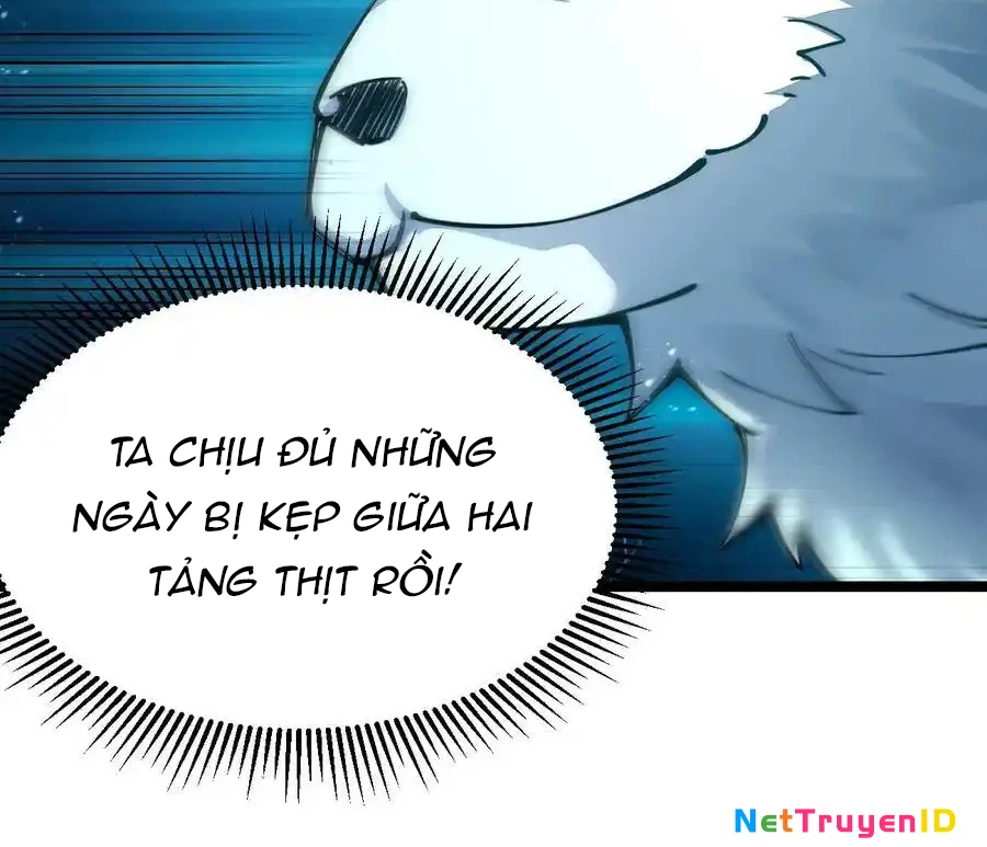 Sức Mạnh Của Kiếm Thần Chapter 68 - Trang 2