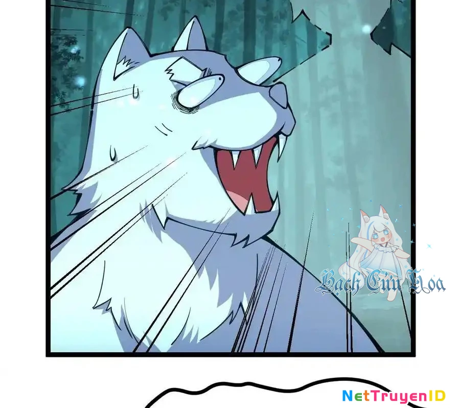 Sức Mạnh Của Kiếm Thần Chapter 68 - Trang 2