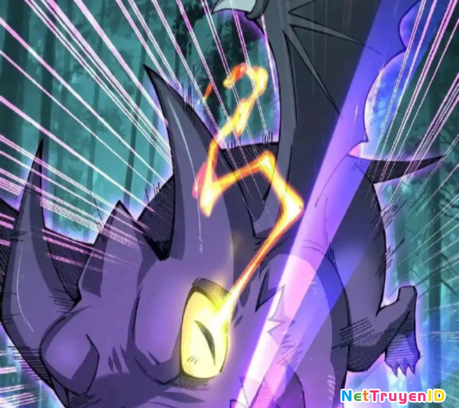 Sức Mạnh Của Kiếm Thần Chapter 70 - Trang 2