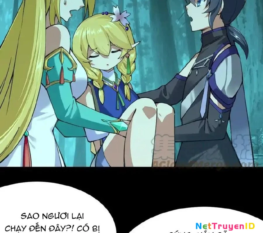 Sức Mạnh Của Kiếm Thần Chapter 71 - Trang 2