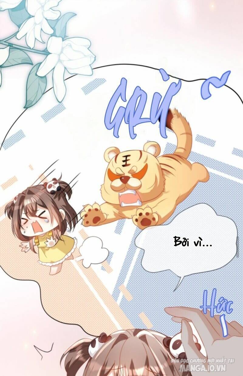 Sủng Bé Cá Koi 3 Tuổi Rưỡi Chapter 10 - Trang 2