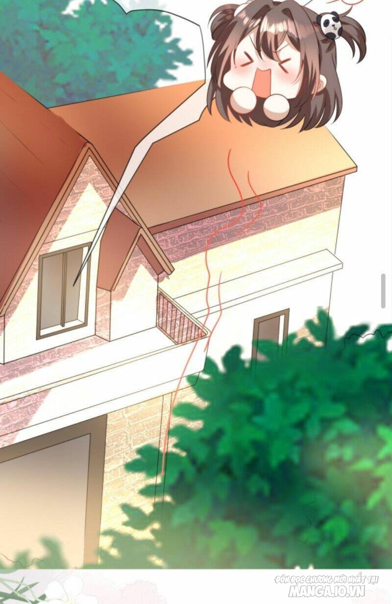 Sủng Bé Cá Koi 3 Tuổi Rưỡi Chapter 10 - Trang 2