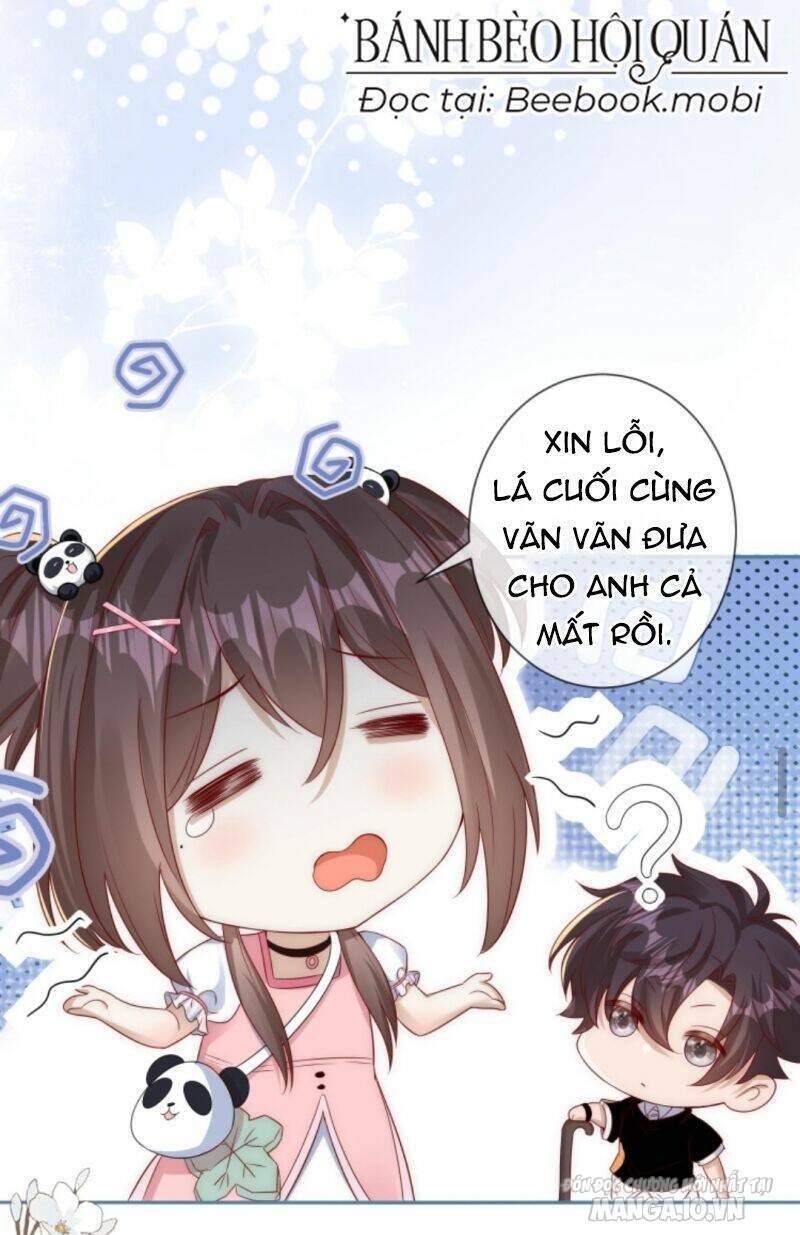 Sủng Bé Cá Koi 3 Tuổi Rưỡi Chapter 11 - Trang 2