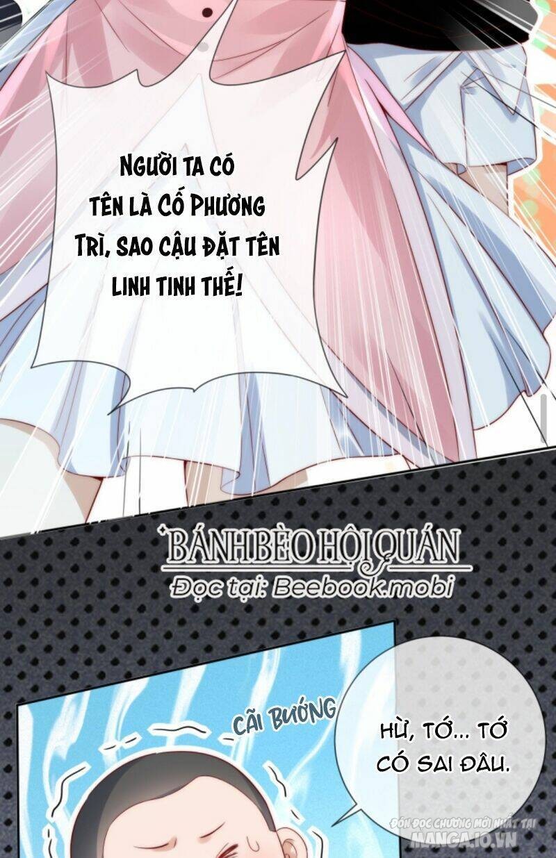 Sủng Bé Cá Koi 3 Tuổi Rưỡi Chapter 11 - Trang 2