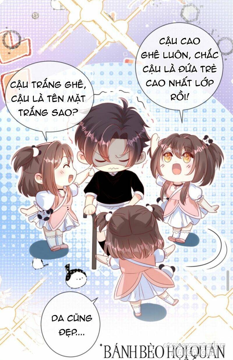 Sủng Bé Cá Koi 3 Tuổi Rưỡi Chapter 11 - Trang 2