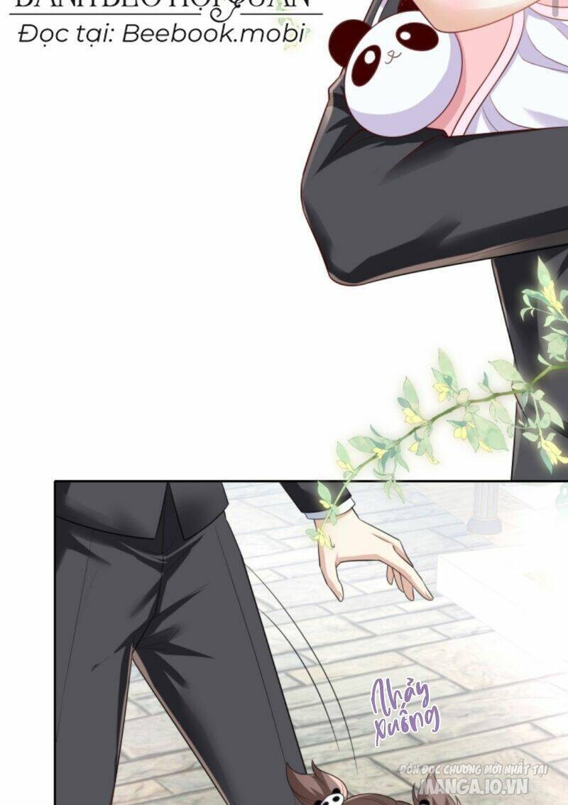 Sủng Bé Cá Koi 3 Tuổi Rưỡi Chapter 12 - Trang 2