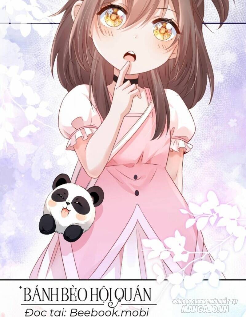 Sủng Bé Cá Koi 3 Tuổi Rưỡi Chapter 13 - Trang 2