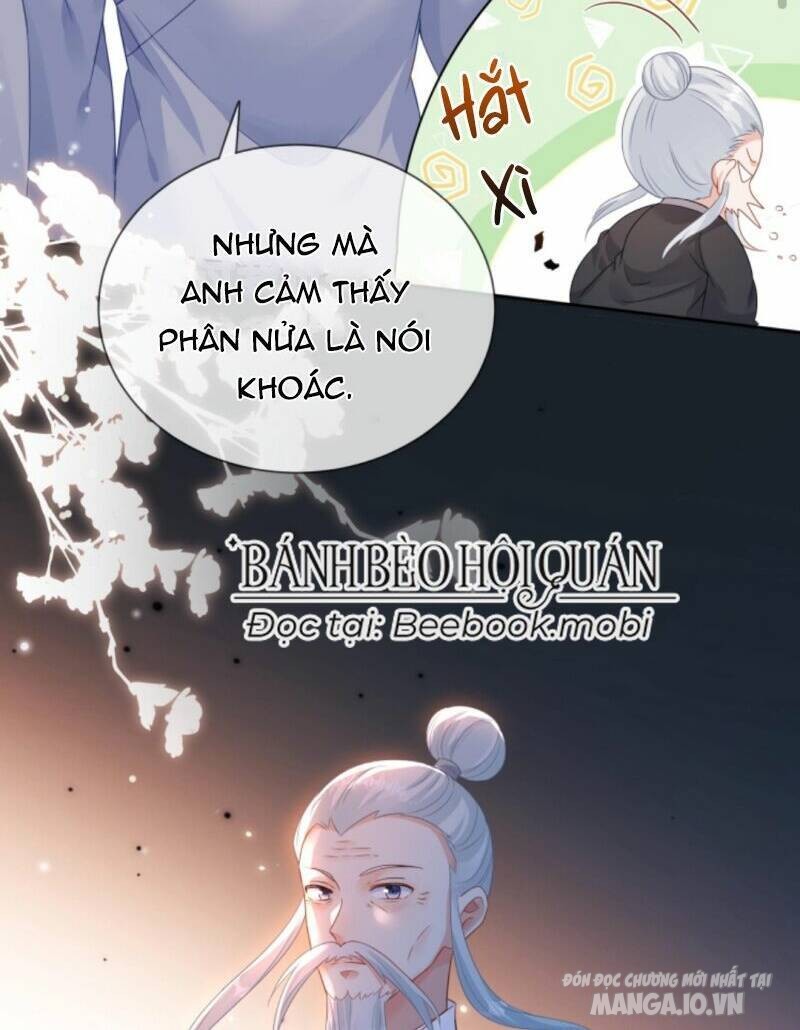 Sủng Bé Cá Koi 3 Tuổi Rưỡi Chapter 13 - Trang 2