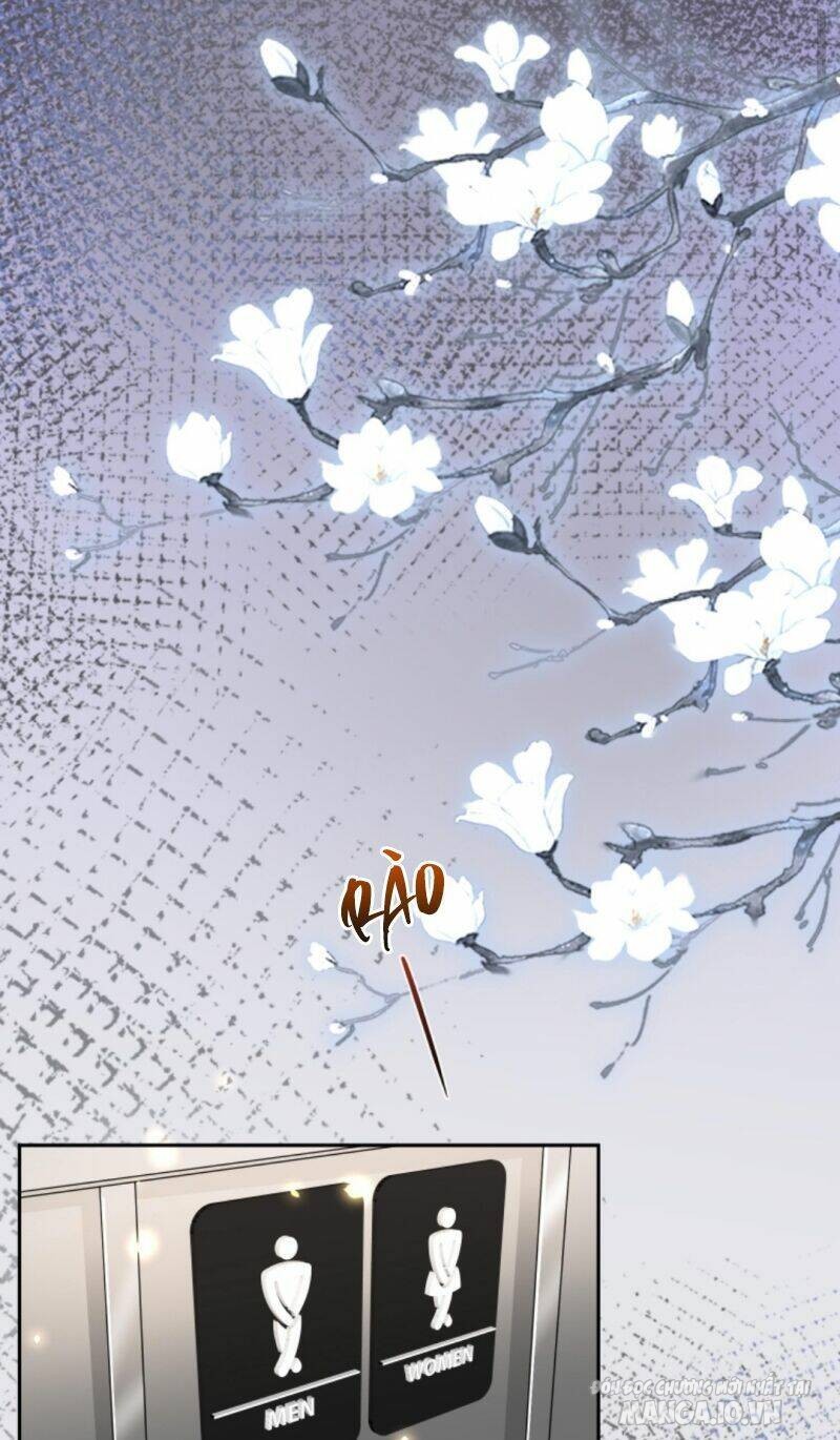 Sủng Bé Cá Koi 3 Tuổi Rưỡi Chapter 14 - Trang 2