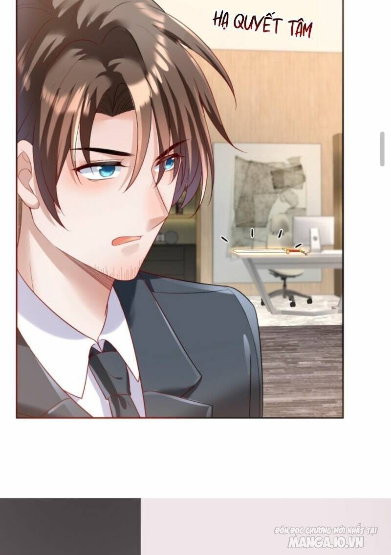 Sủng Bé Cá Koi 3 Tuổi Rưỡi Chapter 15 - Trang 2