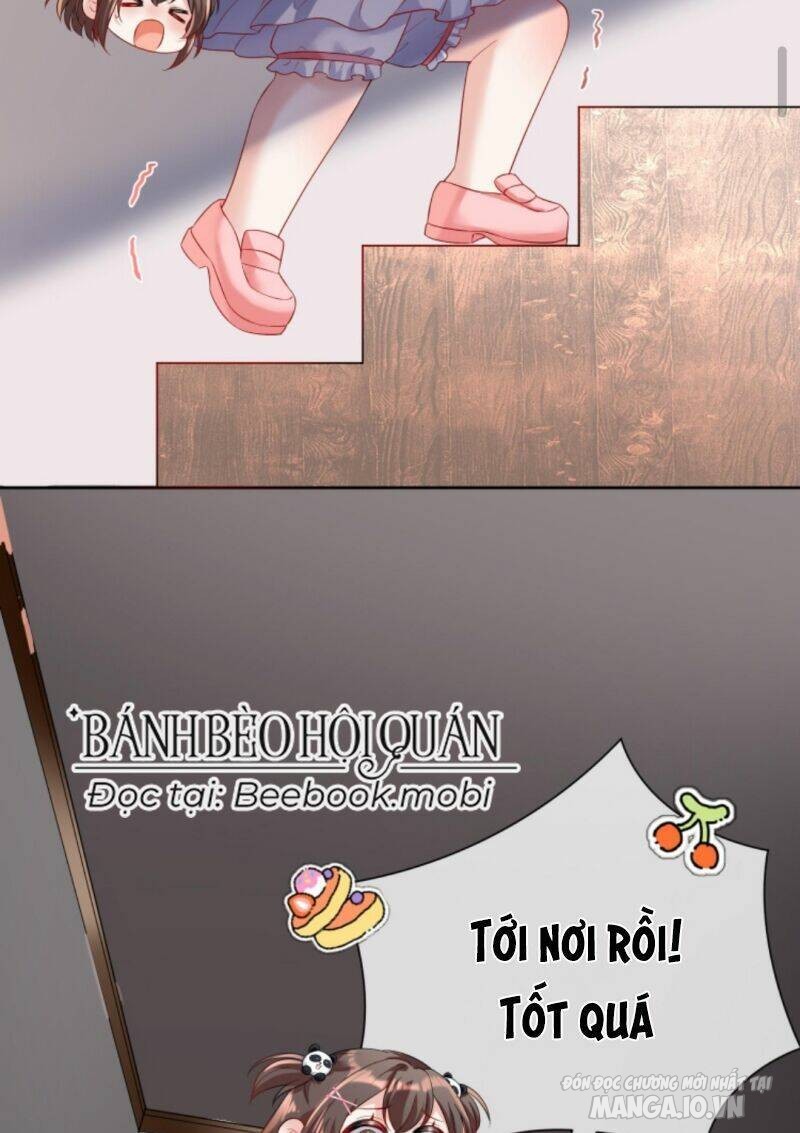 Sủng Bé Cá Koi 3 Tuổi Rưỡi Chapter 15 - Trang 2