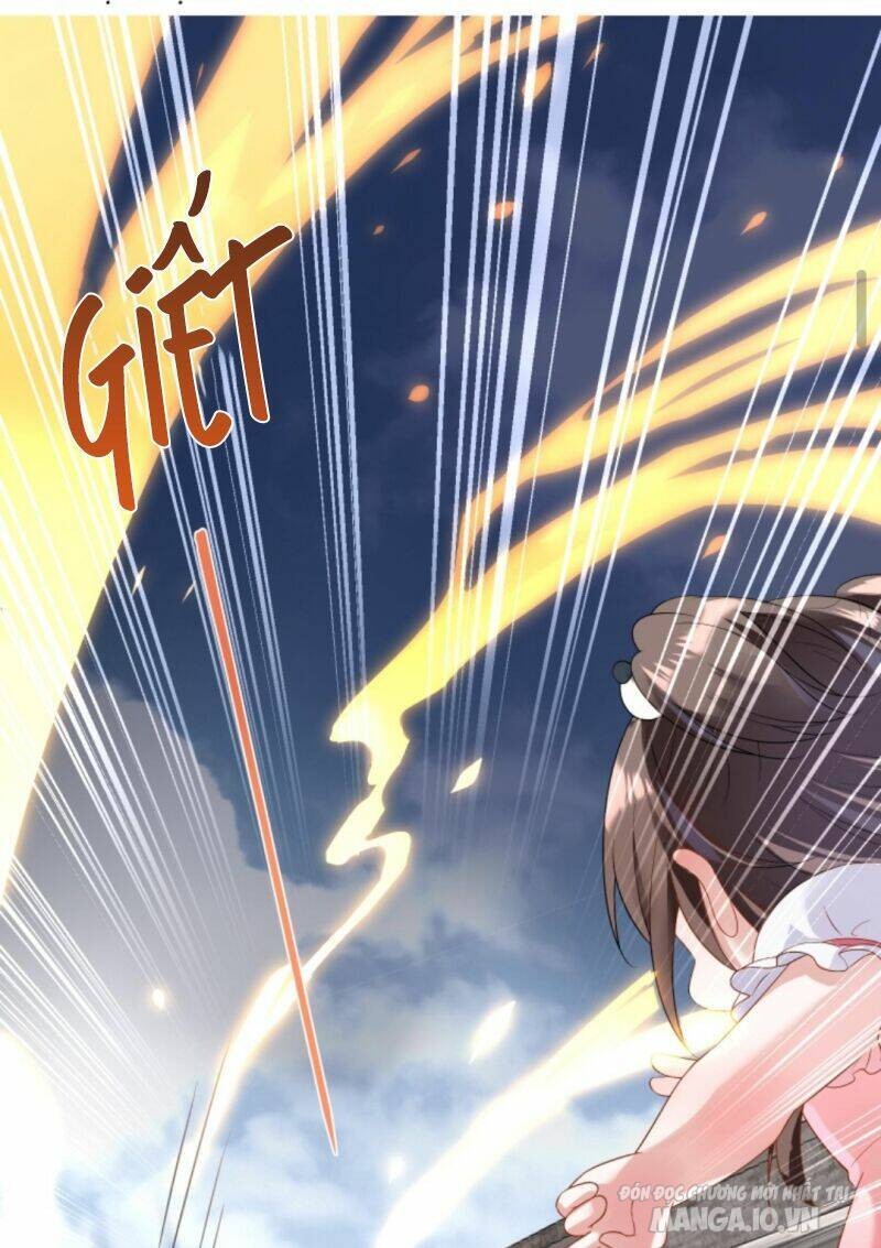 Sủng Bé Cá Koi 3 Tuổi Rưỡi Chapter 15 - Trang 2