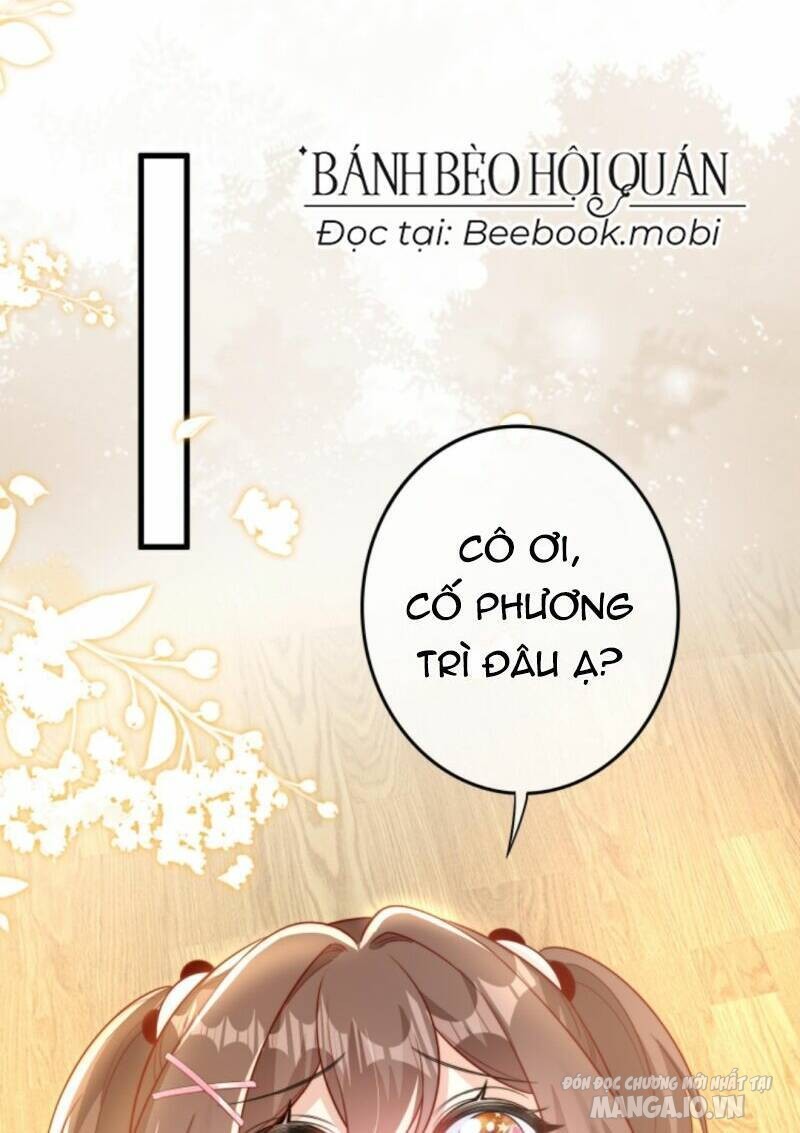 Sủng Bé Cá Koi 3 Tuổi Rưỡi Chapter 16 - Trang 2