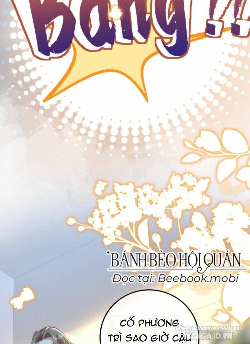 Sủng Bé Cá Koi 3 Tuổi Rưỡi Chapter 16 - Trang 2