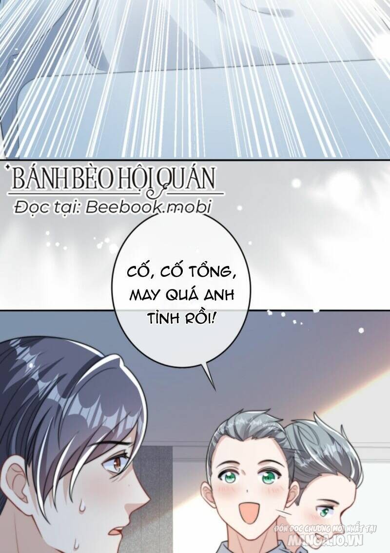 Sủng Bé Cá Koi 3 Tuổi Rưỡi Chapter 16 - Trang 2