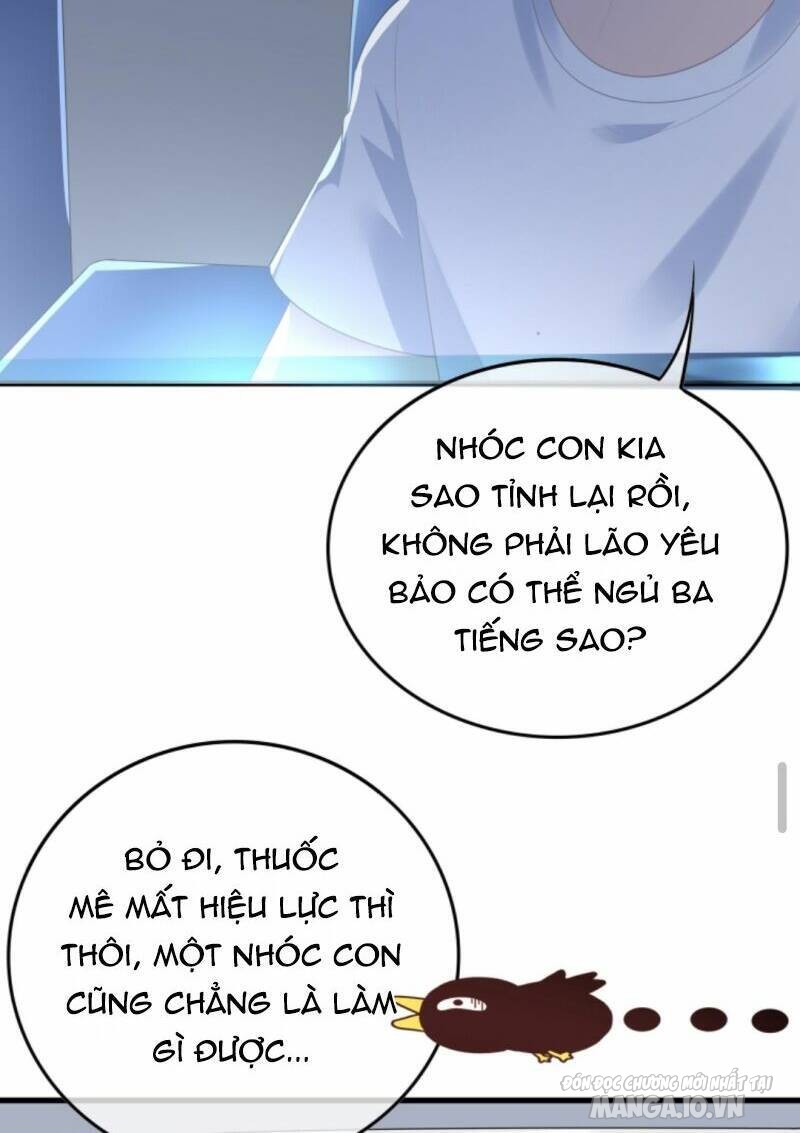 Sủng Bé Cá Koi 3 Tuổi Rưỡi Chapter 17 - Trang 2