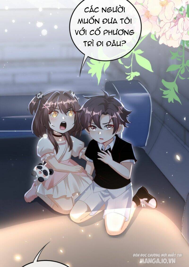 Sủng Bé Cá Koi 3 Tuổi Rưỡi Chapter 17 - Trang 2